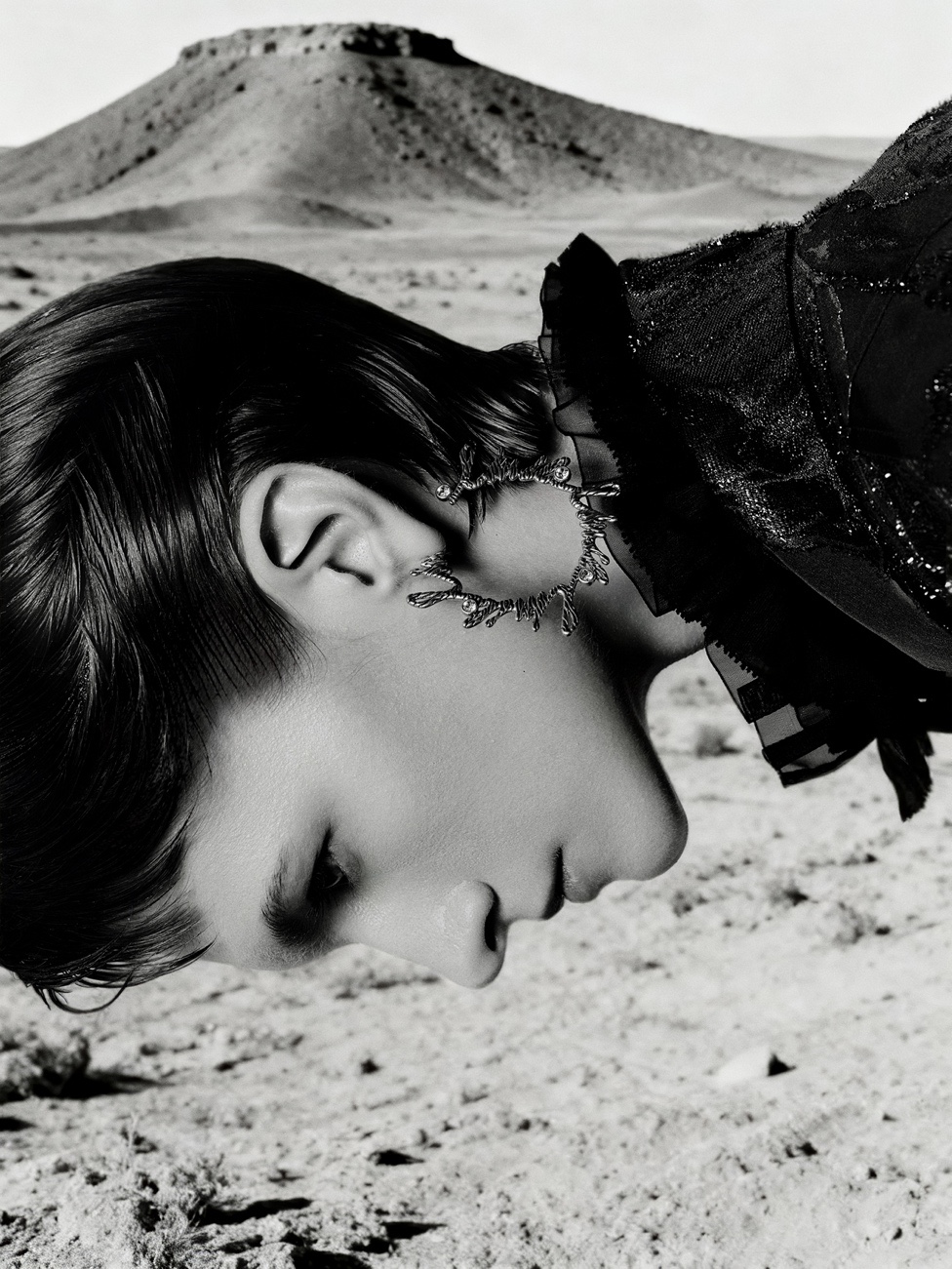 岩脉之上 锋芒共生